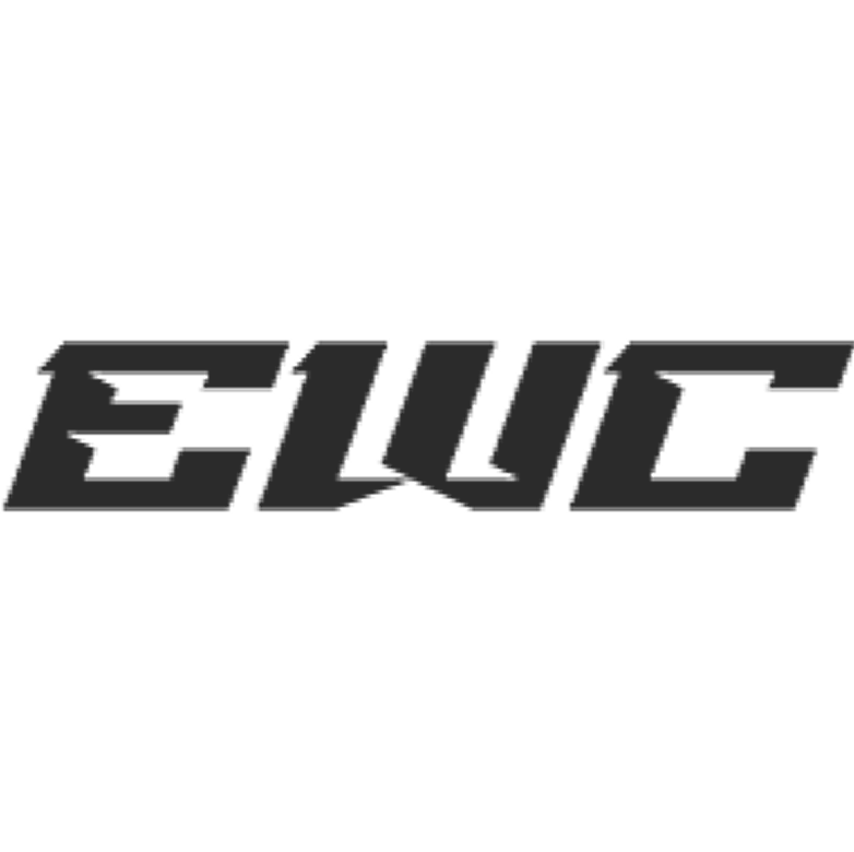 Esports World Cup